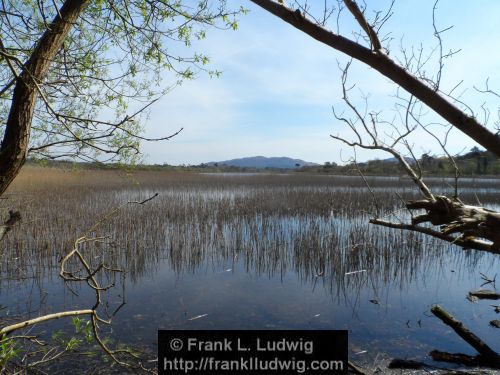 Lough Gill